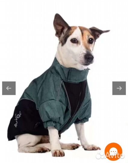 Куртка для собак