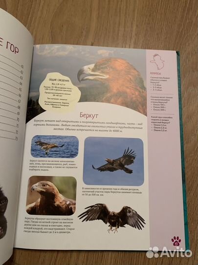 Детская энциклопедия махаон