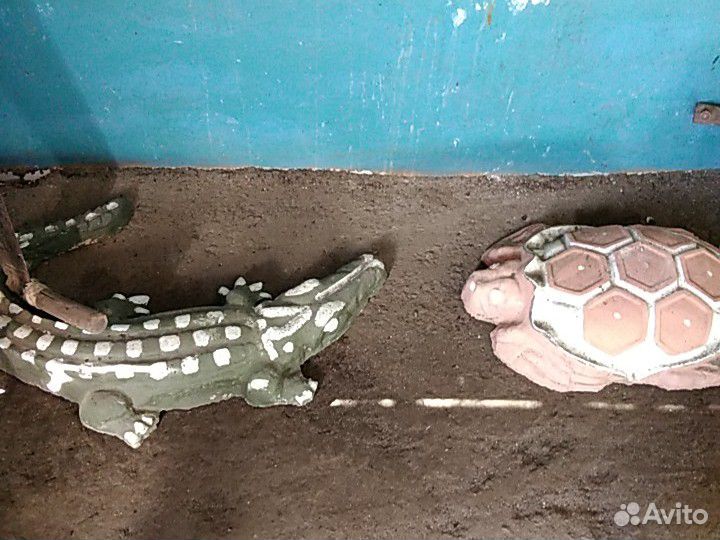 Черепаха обмен на баллоны пропановые