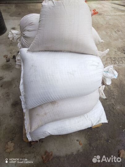 Семена горчицы