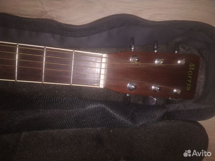 Акустическая гитара Morris