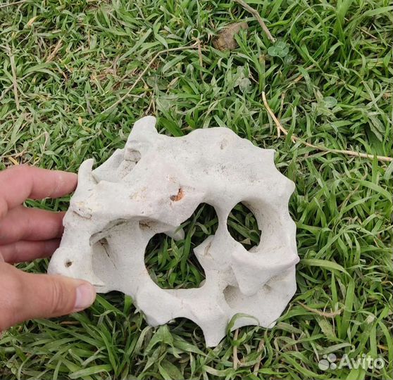 Камни для аквариума