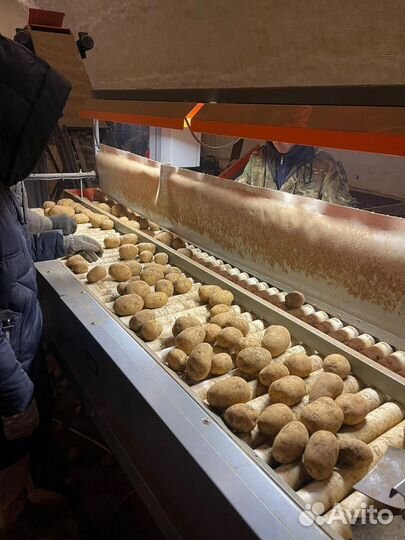 Продажа картофеля