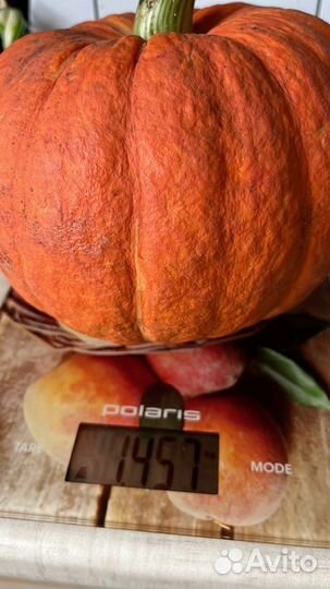 Тыква сладкая-десертная (медовые)