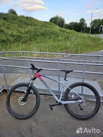 Polygon xtrada 5 2022