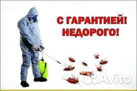 Дезинфекция, Дезинсекция, Дератизация