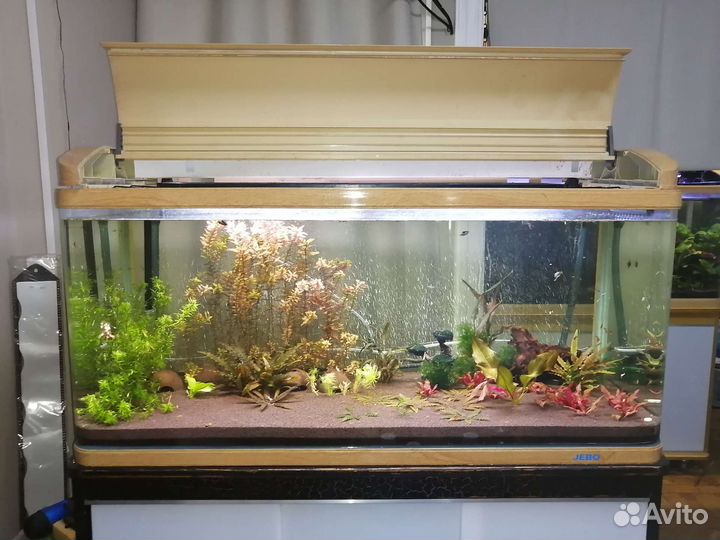 Аквариум jebo