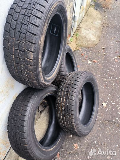 Dunlop Winter Maxx 195/55 R16 87