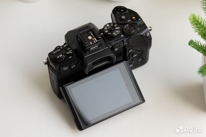 Olympus OM-D E-M1 Body