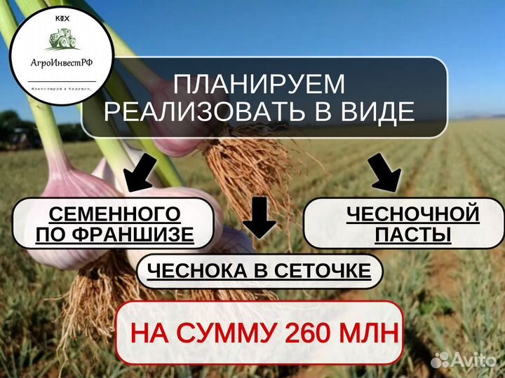 Инвестор/ пассивный доход до 50%