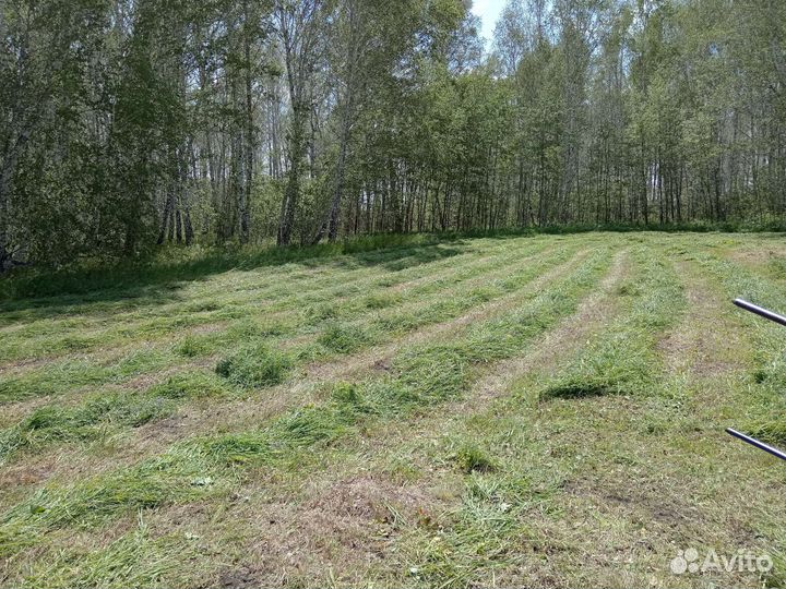 Сено в рулонах