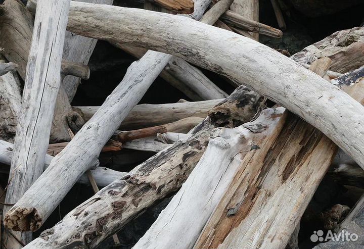 Дрифтвуд для макраме панно на коряге