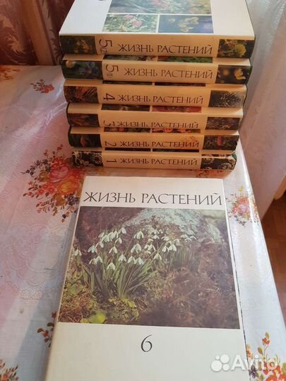 Жизнь растений, животных и словари