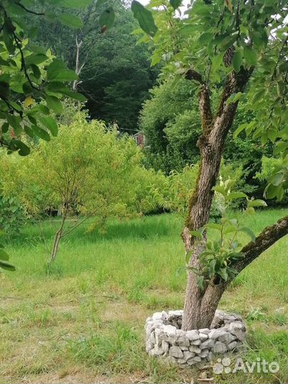 Кемпинг, автокемпинг