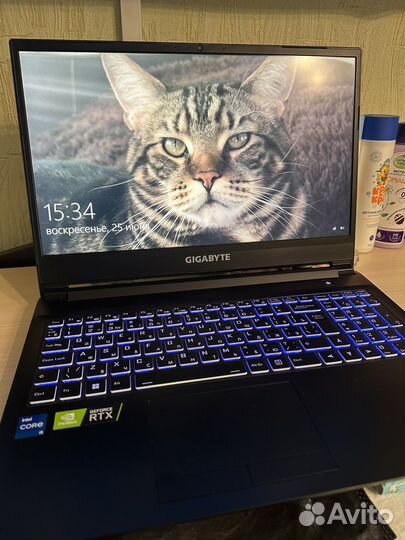 Игровой ноутбук gigabyte
