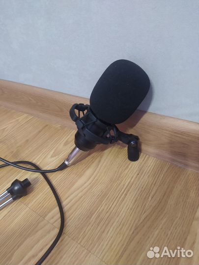 Микрофон BM800
