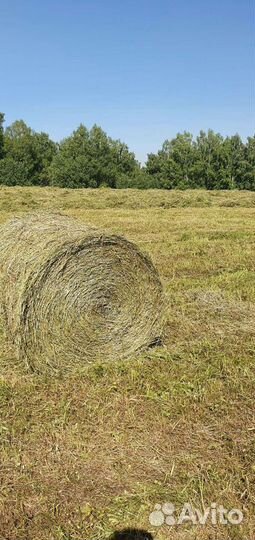 Сено в рулонах