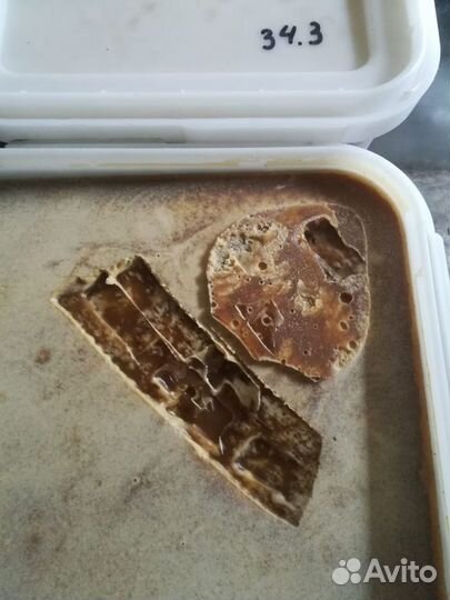 Мёд оптом от 35 кг, 4 сорта - своя пасека