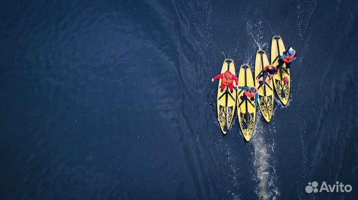 Видеограф Фотограф Аэросъемка