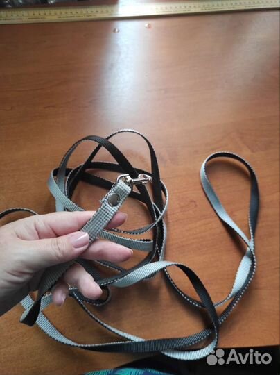 Поводок для мелких пород