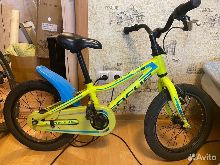 Велосипед детский 16 Focus Raven Rookie