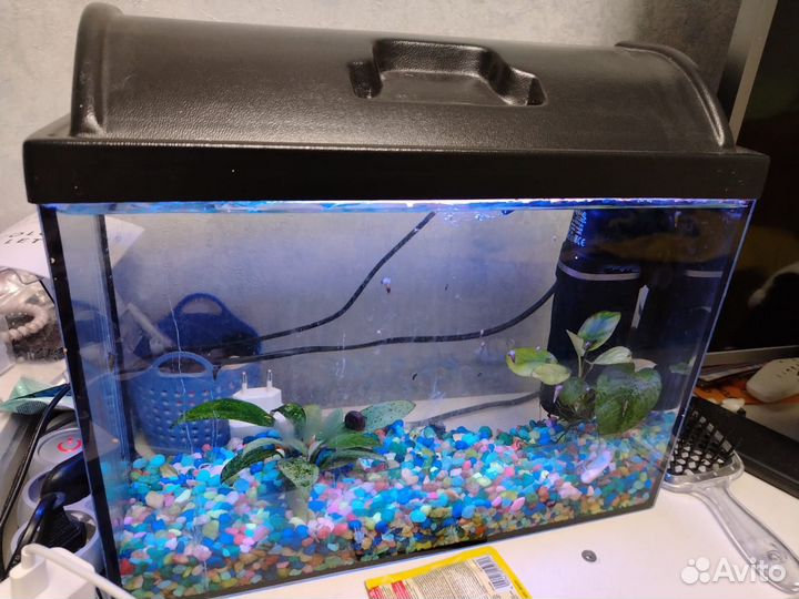 Аквариум