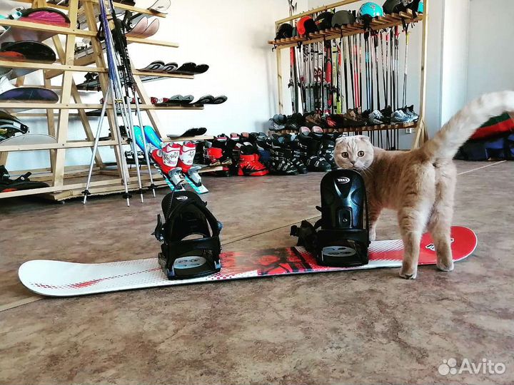 Прокат Горных/Беговых Лыж,Сноубордов,Экипировки