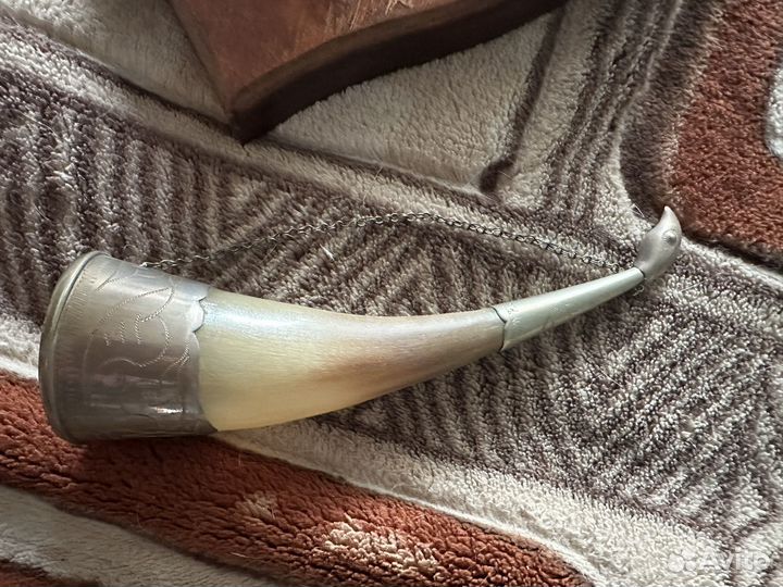 Рога оленя и рог