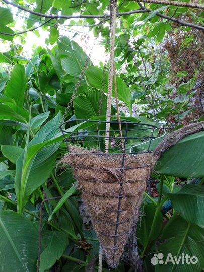 Кашпо для ампельных растений