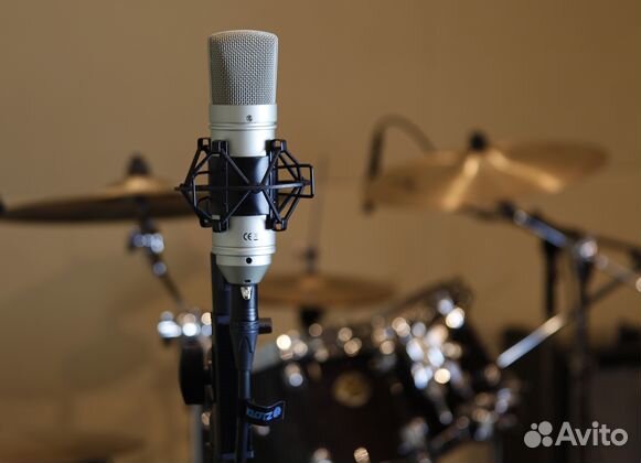 Микрофон tascam TM-80