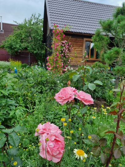 Дом 90 м² на участке 12 сот.