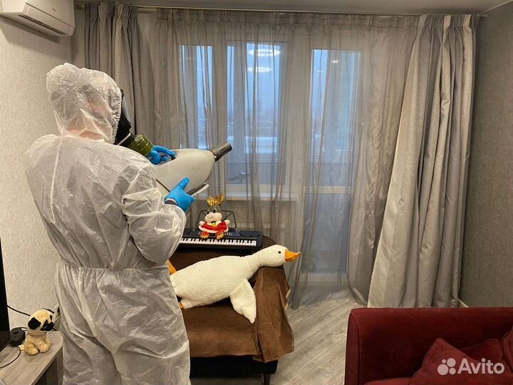 Уничтожение клопов, тараканов и муравьев