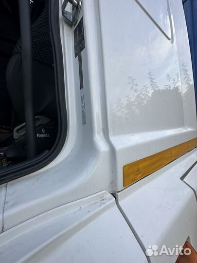 КамАЗ 5490 NEO 2, 2021