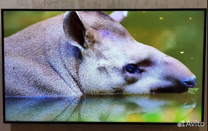 Samsung LED 55 4K UHD