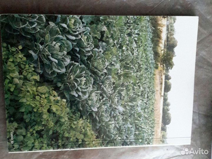 Журнал Англия 98гг