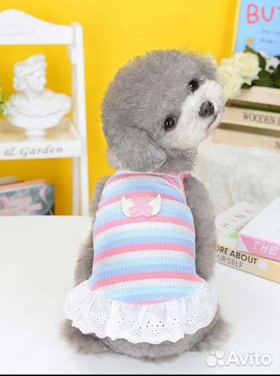 Одежда для животных