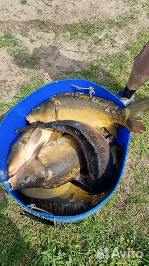 Все для рыбалки