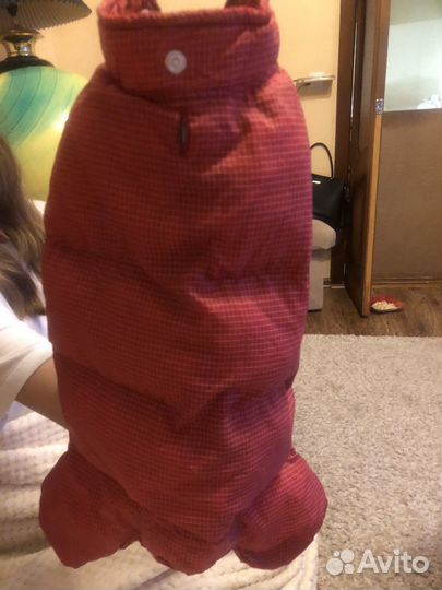 Комбинезон для средней собаки