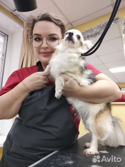 Грумер стрижка собак