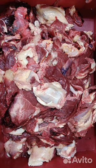 Говядина для собак