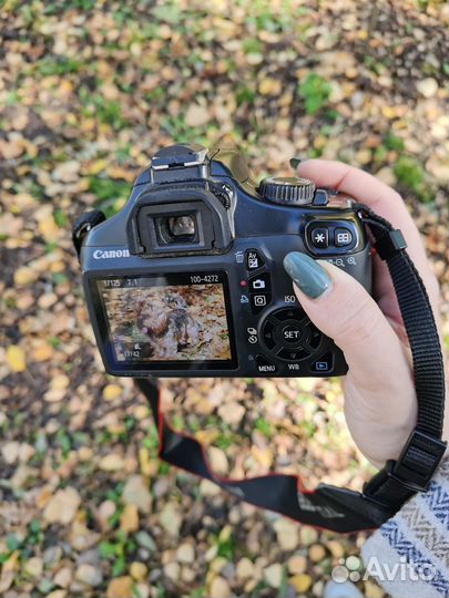 Зеркальный фотоаппарат canon eos 1100d