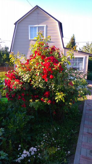 Дача 44,6 м² на участке 7 сот.