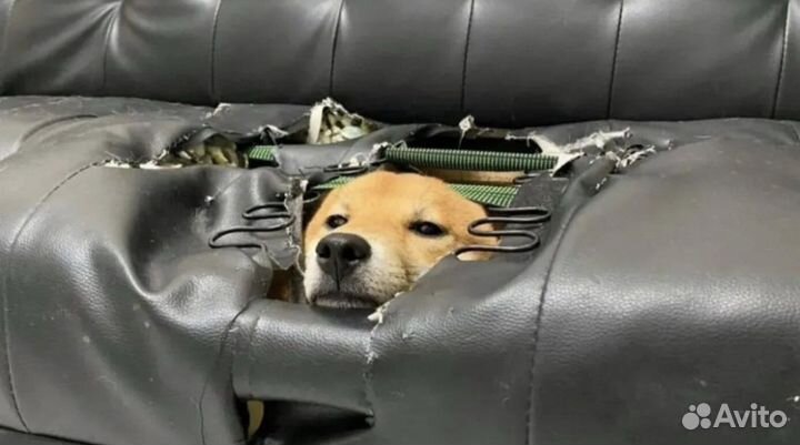 Перетяжка мебели, дивана, кровати, стула, кресла