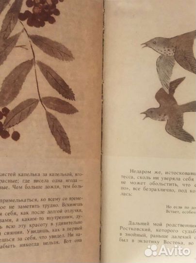 Александр Яшин. Угощаю рябиной