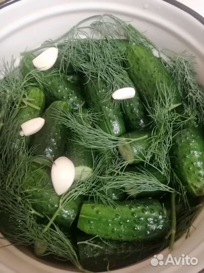 Огурцы малосольные