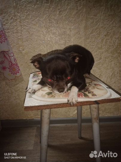 Мальчик ищет девочку