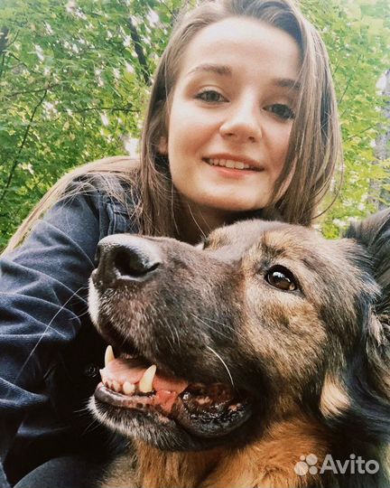 Выгул собак, няня и передержка для животных