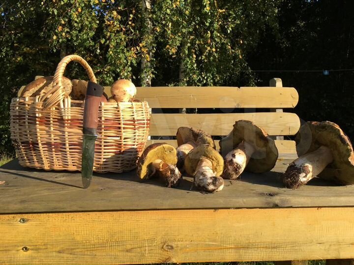 Дом 72 м² на участке 12 га