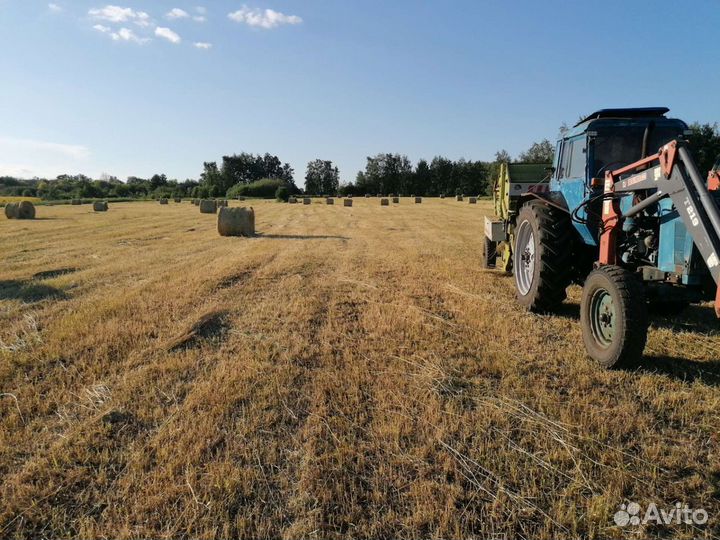 Сено в рулонах, луговое, суданка