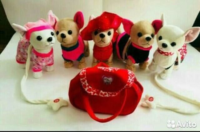 Чичилав Собачка